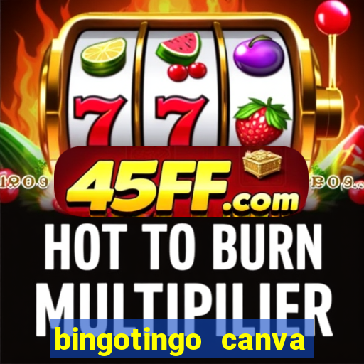 bingotingo canva pro gratis